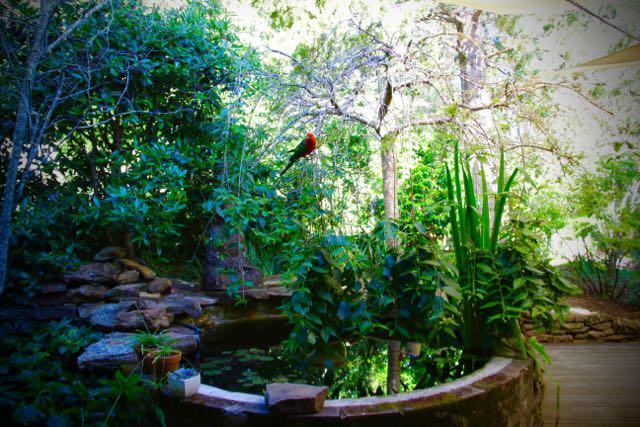 Moments Mountain Retreat Wentworth Falls Exterior foto